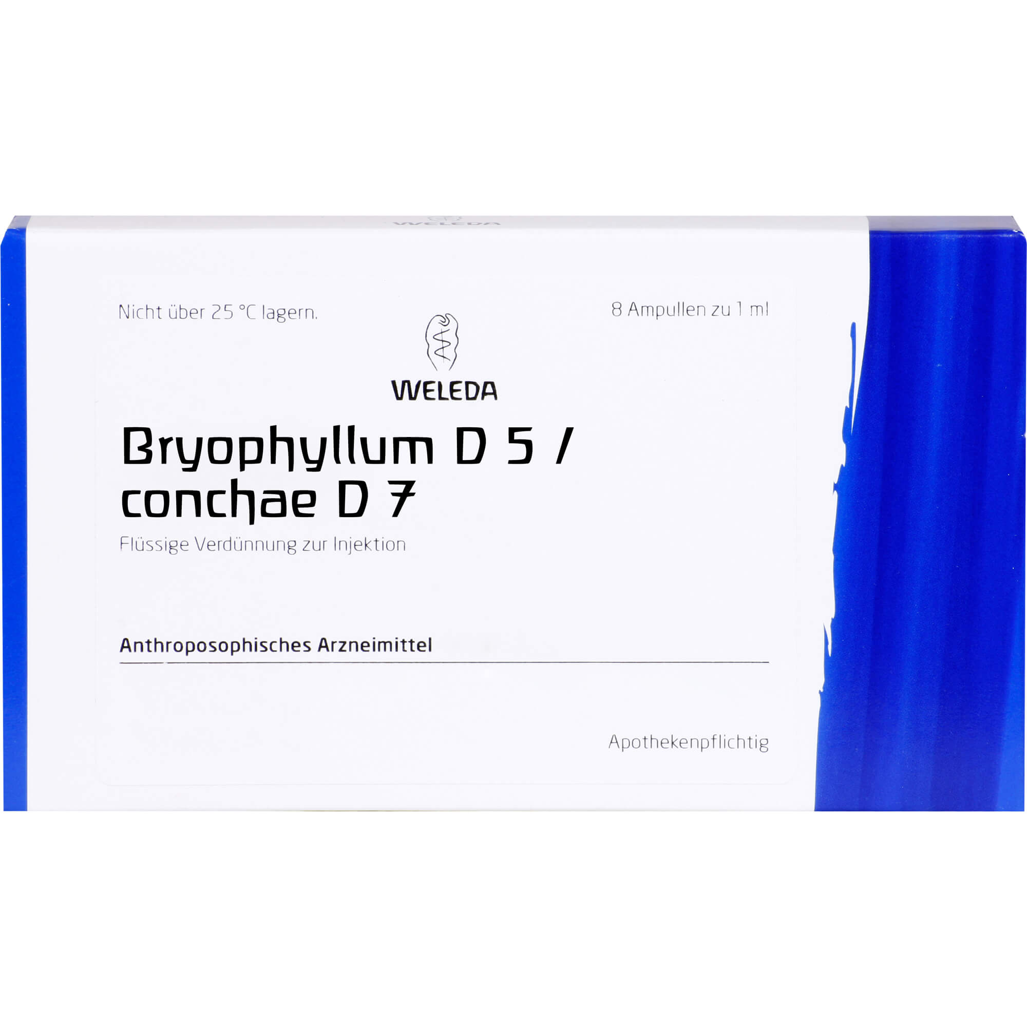 BRYOPHYLLUM D 5/Conchae D 7 Ampullen