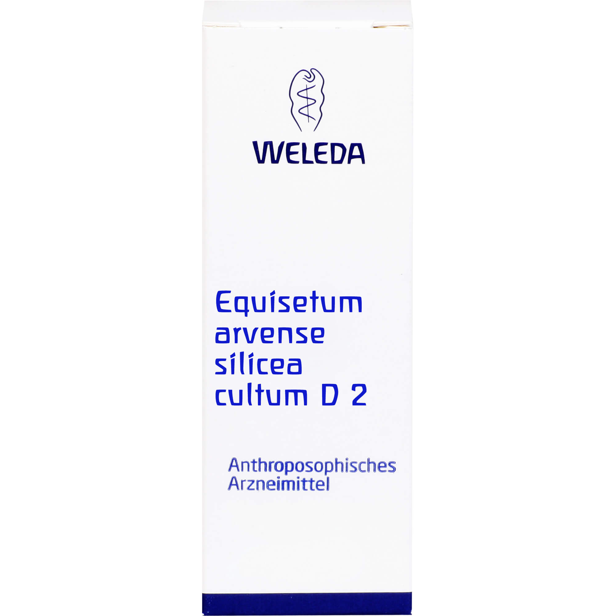 EQUISETUM ARVENSE Silicea cultum D 2 Dilution