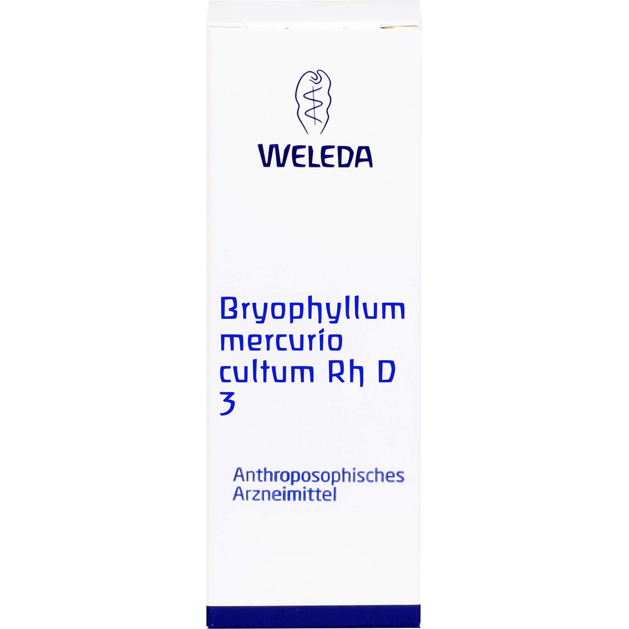 BRYOPHYLLUM MERCURIO cultum Rh D 3 Dilution