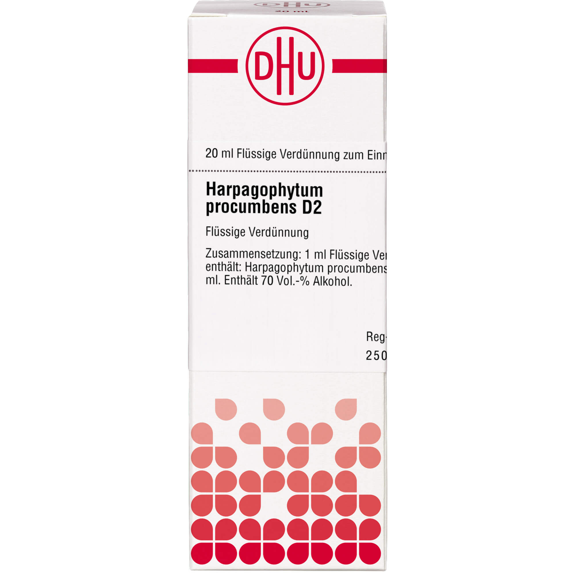 HARPAGOPHYTUM PROCUMBENS D 2 Dilution