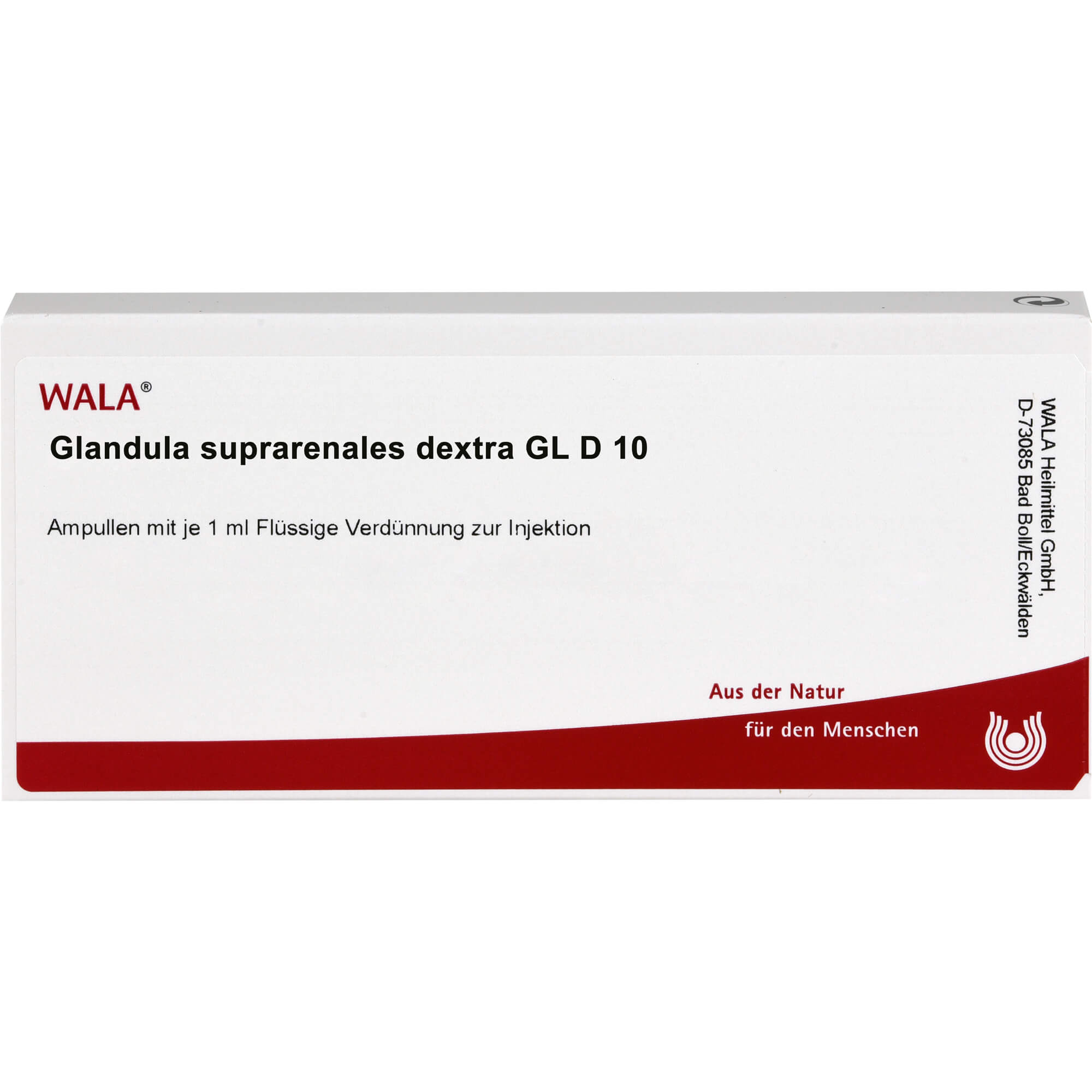 GLANDULA SUPRARENALES dextra GL D 10 Ampullen