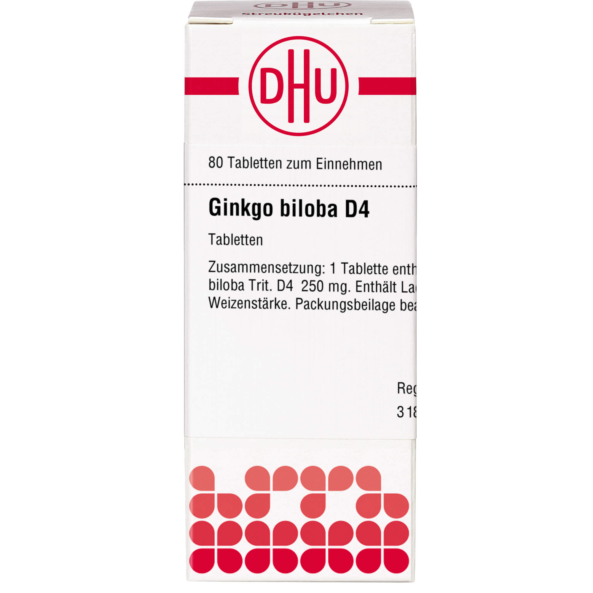 GINKGO BILOBA D 4 Tabletten