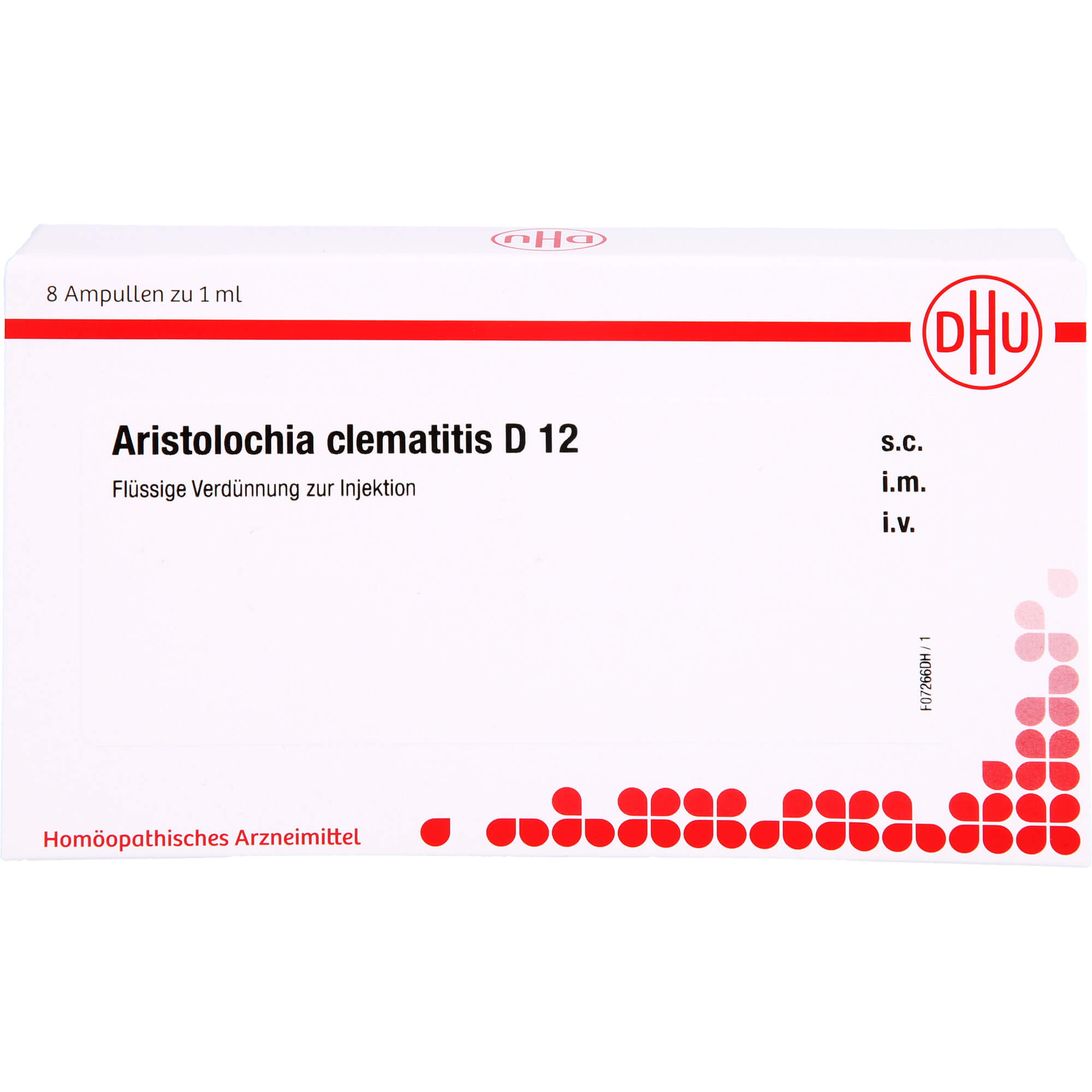 ARISTOLOCHIA CLEMATITIS D 12 Ampullen