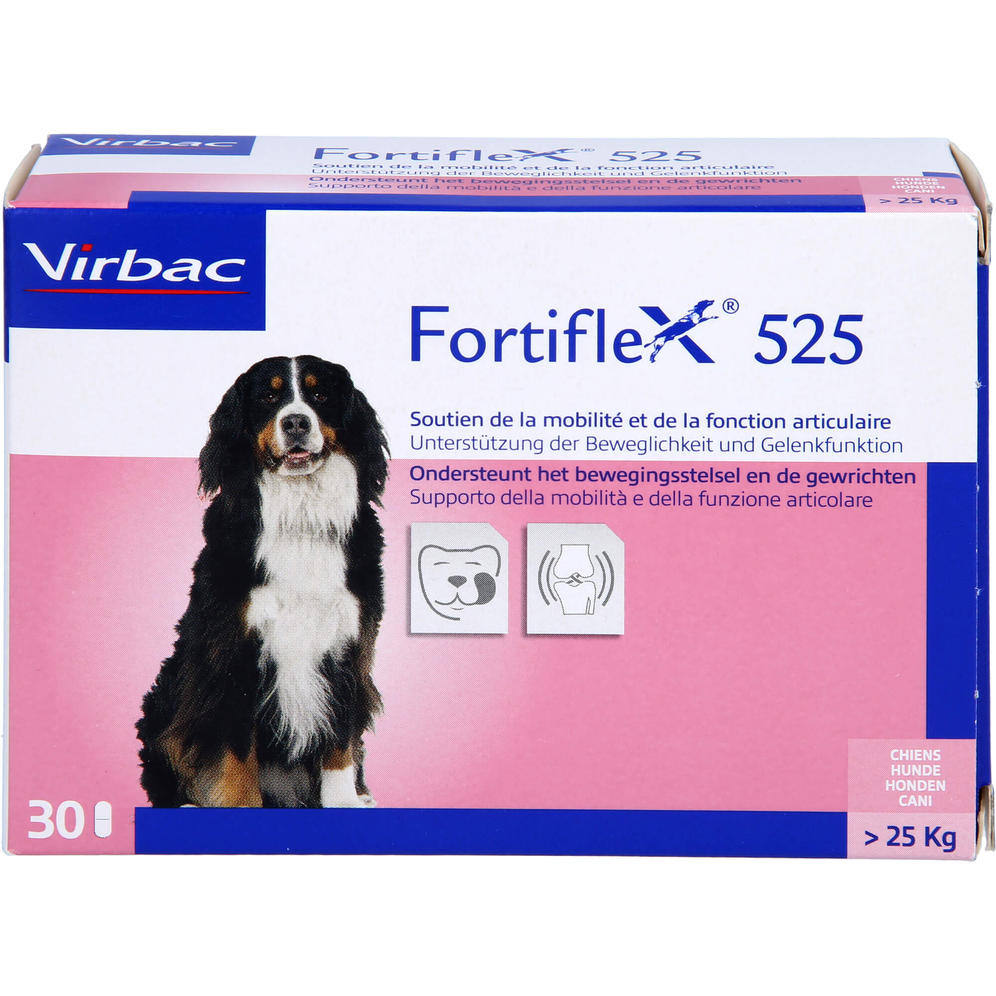 FORTIFLEX 525 Tabletten vet.