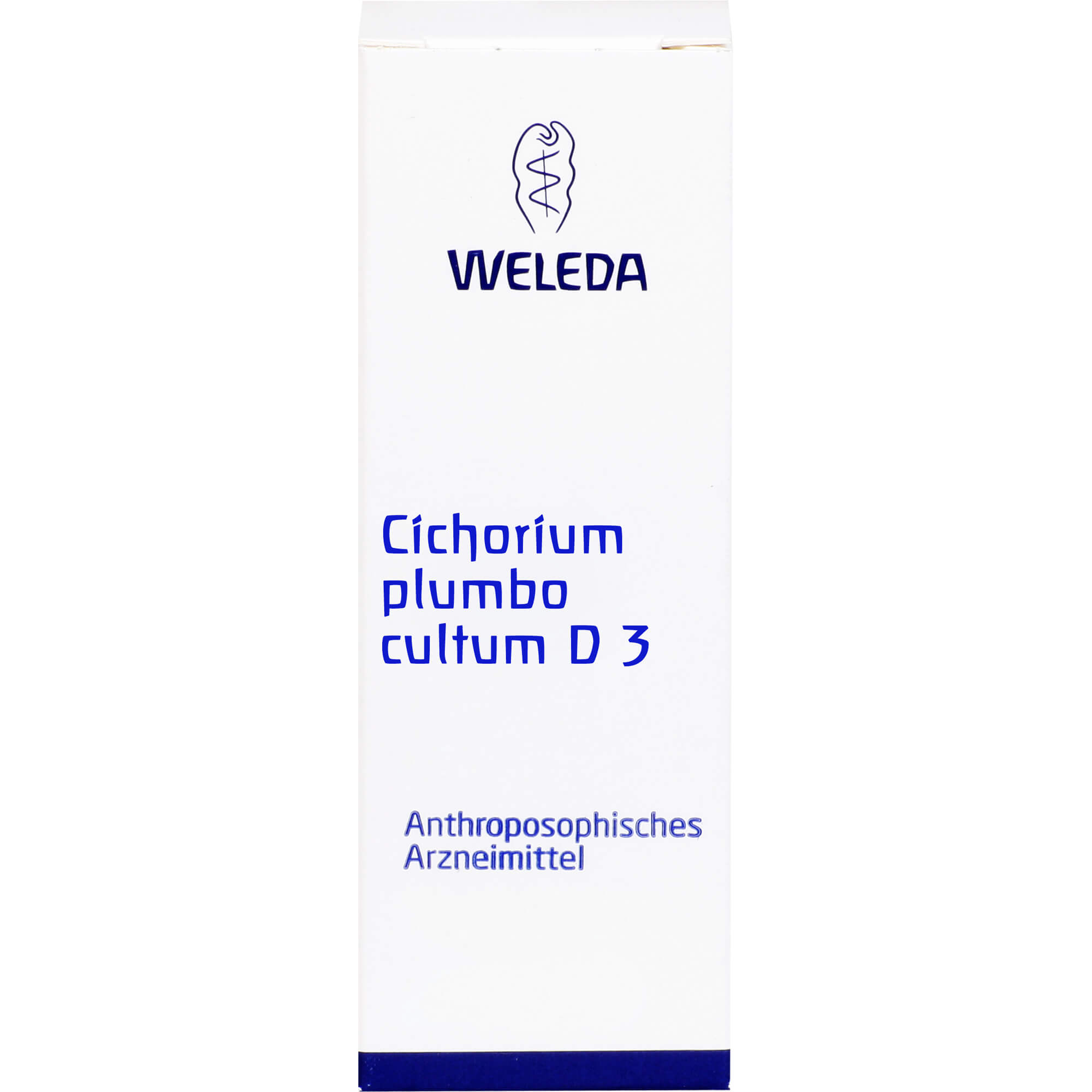 CICHORIUM PLUMBO cultum D 3 Dilution