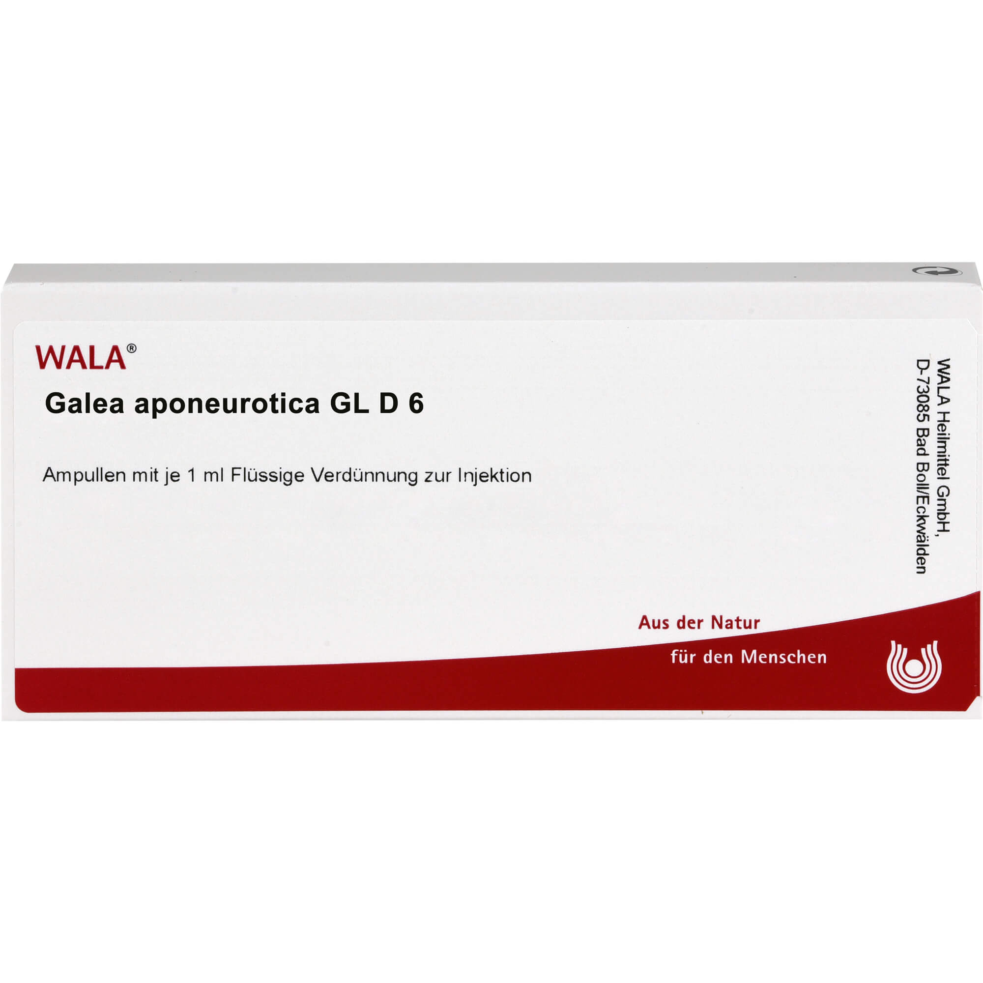 GALEA aponeurotica GL D 6 Ampullen