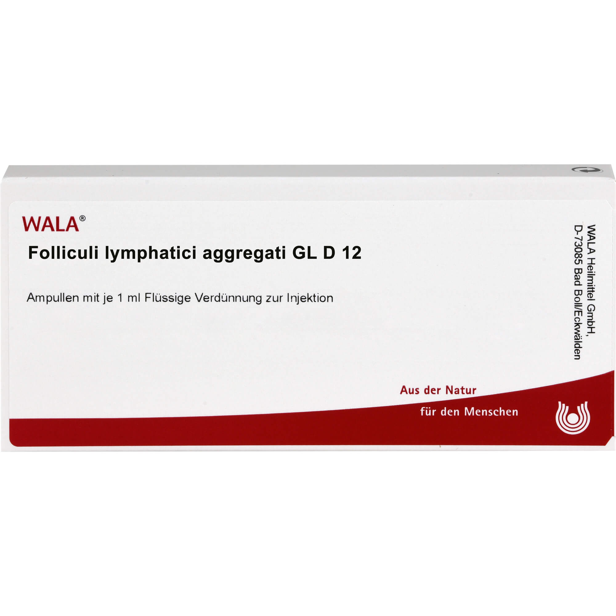FOLLICULI LYMPHATICI aggregati GL D 12 Ampullen