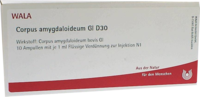 CORPUS-AMYGDALOIDEUM-GL-D-30-Ampullen