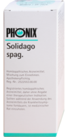 PHOeNIX-SOLIDAGO-spag-Mischung