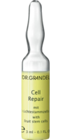 GRANDEL Professional Collection Cell Repair Amp.