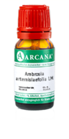 AMBROSIA ARTEMISIAEFOLIA LM 16 Dilution