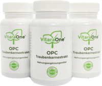 OPC TRAUBENKERNEXTRAKT 120 mg vegan 3er Set Kaps.