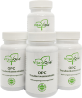 OPC TRAUBENKERNEXTRAKT 120 mg vegan 4er Set Kaps.