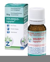 SOLIDAGO-LOGOPLEX Globuli vet.