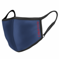 ANVIPRO Mask blau